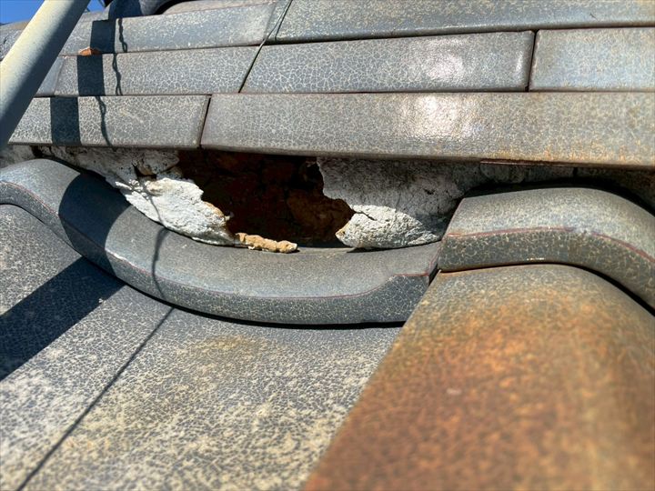 ブログタイトル